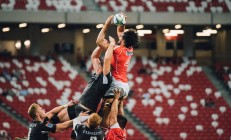 开云体育官网-从红土滑步到草地飞驰，德约科维奇以蒙特卡洛为镜，照见温网卫冕之路