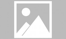 开云APP-法国队完胜韩国队，许昕统治全场