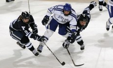 开云体育在线-跨界统治，从NBA黄蜂淘汰公牛，到F1街道赛范弗利特的接管艺术