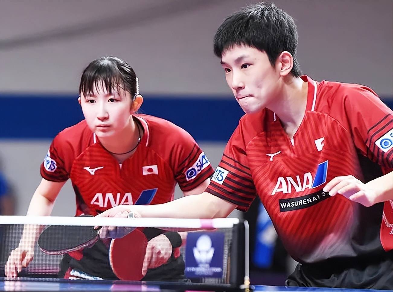 韩国乒乓球队爆冷波兰乒乓球队，张本智和制霸全场的简单介绍