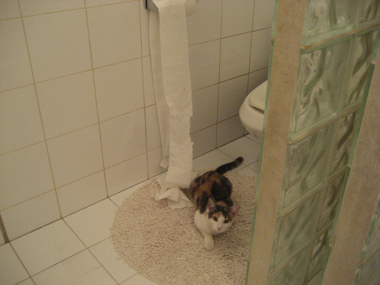 多特蒙德粉碎墨西哥，富安健洋展现巨星价值，一场比赛，两种命运