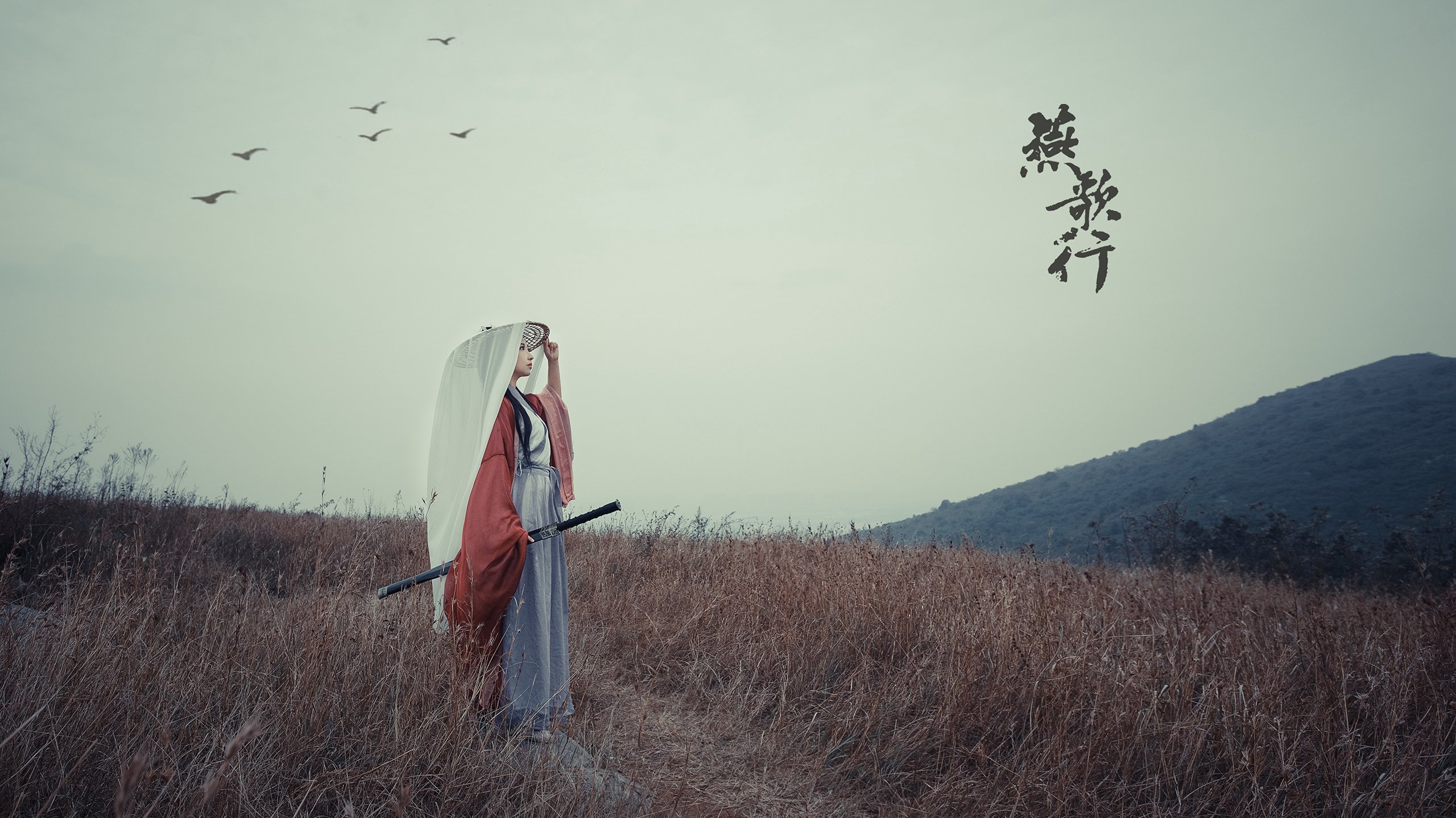 绝境中的逆袭，范弗利特如何导演深圳队惊天逆转独行侠