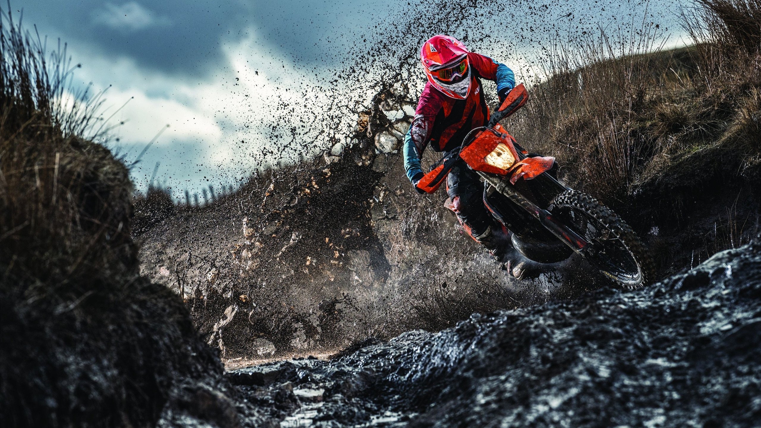 硬仗之王的加冕礼，哈利伯顿与国王的生死战启示录